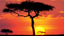 Timeline: History of South African Economy