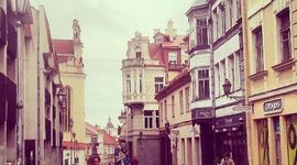 Timeline: семінары лета 2013