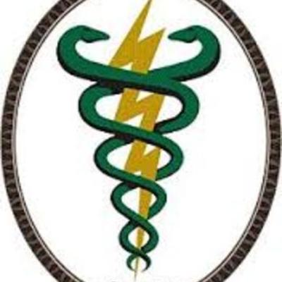 Timeline: FISIOTERAPIA