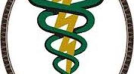 Timeline: FISIOTERAPIA