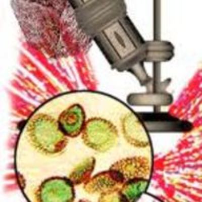 Timeline: A Brief Timeline of the Cell Theory by Anirudh Sharma