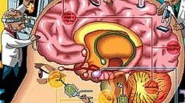 Timeline: PSYCHOLOGY