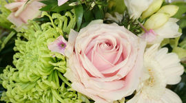 Timeline: Min første tidslinje