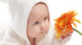 Timeline: 1 MI INFANCIA