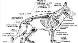 Timeline: VIDA EDUARDO GUIO