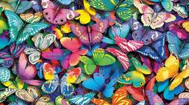 Timeline: natalia lizeth mendivelso suarez