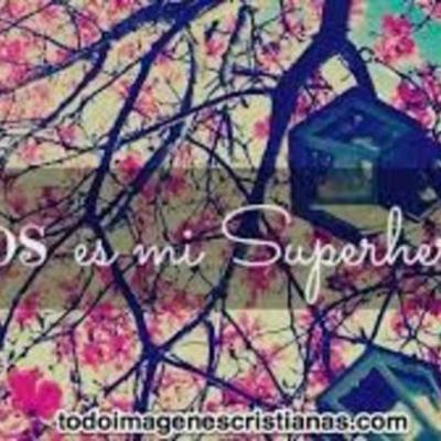 Timeline: marly alejandra duran