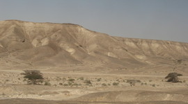 Timeline: התפתחות מבנה "היבשות בהתאם לתיאוריית טקטוניקת הלוחות"