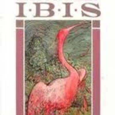 Timeline: The Scarlet Ibis