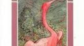 Timeline: The Scarlet Ibis