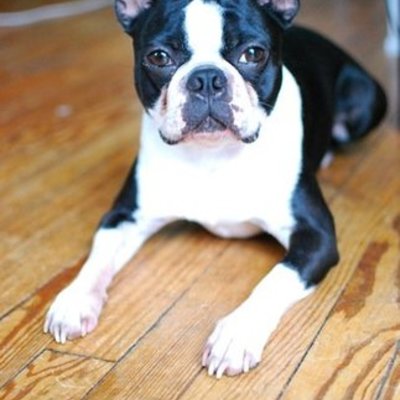 Timeline: Mr. Fritts' Personal Timeline