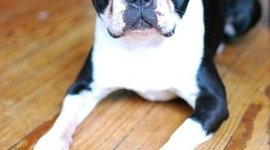 Timeline: Mr. Fritts' Personal Timeline