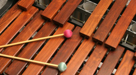 Timeline: Evolución de la Marimba