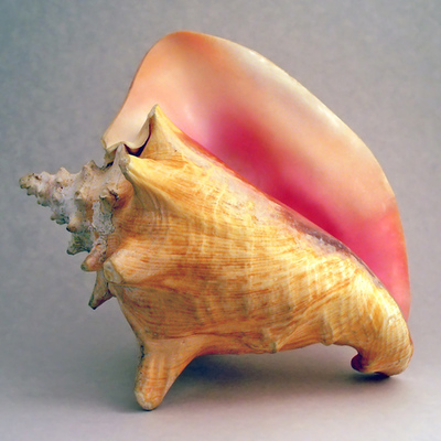 Timeline: Courtney's Literacy Timeline