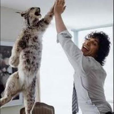 Timeline: Andy Samberg's Life