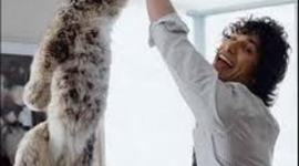 Timeline: Andy Samberg's Life