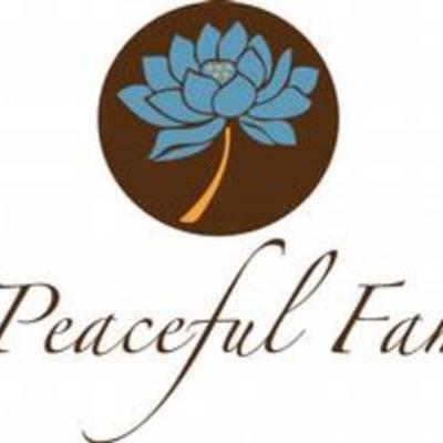 Timeline: The Enlightening Timeline of Faith's Existence