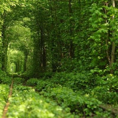 Timeline: Corynn's Crazy, Fantastic, Well Spent Life