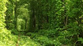 Timeline: Corynn's Crazy, Fantastic, Well Spent Life