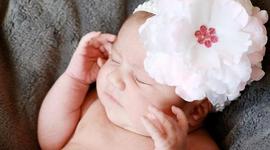 Timeline: Child Language Development - Birth to 18