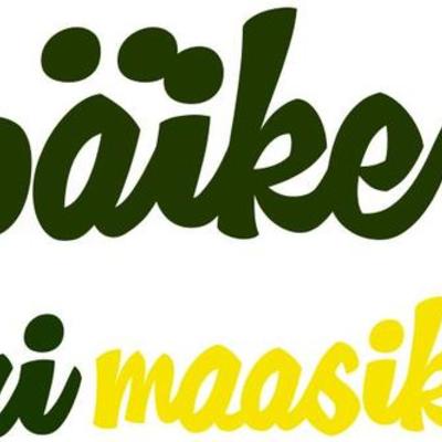 Timeline: Karini kursusel osalemise ajajoon