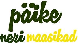 Timeline: Karini kursusel osalemise ajajoon