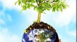 Timeline: Ingeniería Ambiental