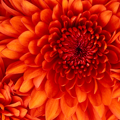 Timeline: primer computador