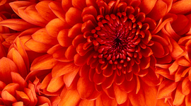 Timeline: primer computador