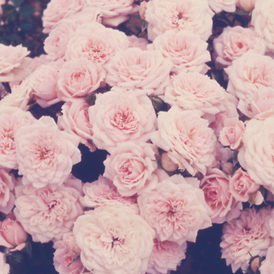 Timeline: Personal timeline project