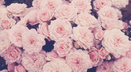 Timeline: Personal timeline project