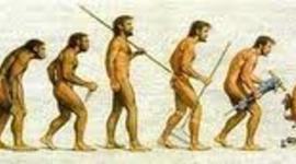 Timeline: Evolucion de la administracion