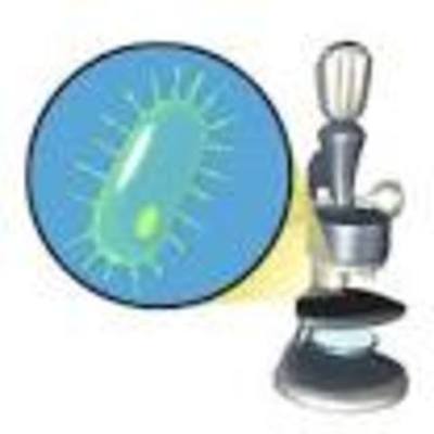 Timeline: MI CARRERA