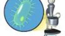 Timeline: MI CARRERA