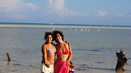 Timeline: Juana María Rodríguez Posada