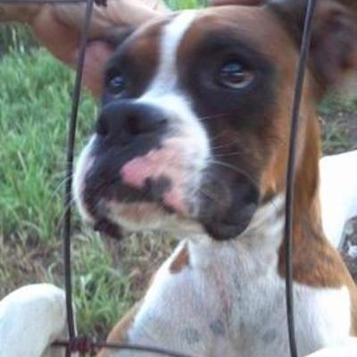 Timeline: birth to age 13