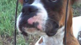 Timeline: birth to age 13