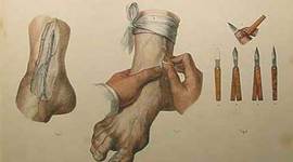 Timeline: HISTORIA DE LA MEDICINA