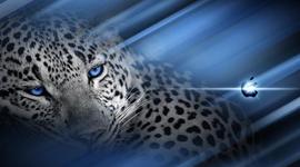 Timeline: AULA 19-08-2013