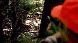 Timeline: most dangerous game