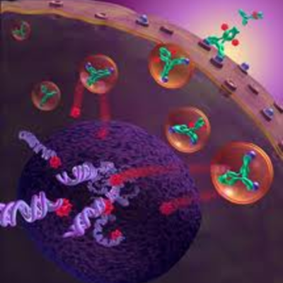 Timeline: Introduccion Sistema Inmune