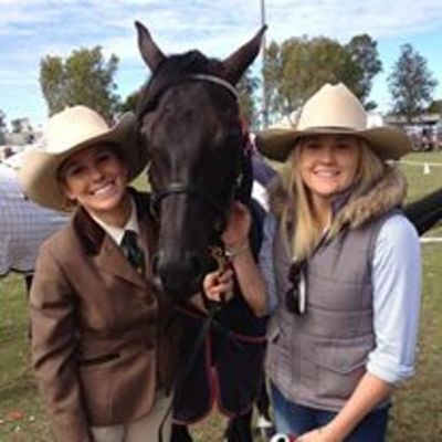 Timeline: South East QLD Shows