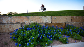 Timeline: Historia del turismo