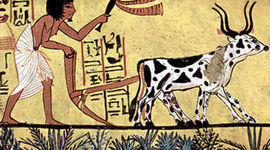 Timeline: DERECHO DEL TRABAJO