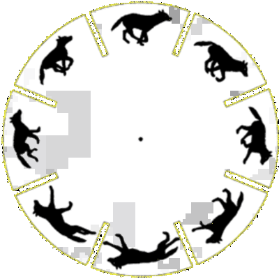 Timeline: The Unaccurrate History of Animation