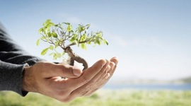 Timeline: EVOLUCION DE LA INGENIERIA AMBIENTAL EN LA UNIVERSIDAD DE BOYACA