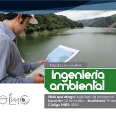 Timeline: La Ingenieria Ambiental