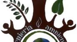 Timeline: Ingenieria Ambiental