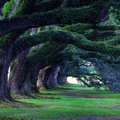 Timeline: Evolucion de La Ingenieria  Ambiental UB