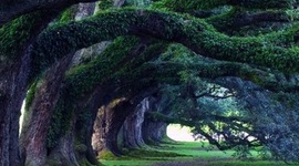 Timeline: Evolucion de La Ingenieria  Ambiental UB